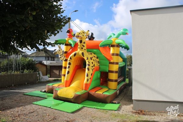 5 ans d'un centre vétérinaire à Malmedy – photo 3